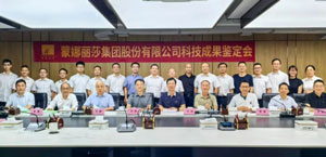 蒙娜丽莎2025年重点研发项目新突破